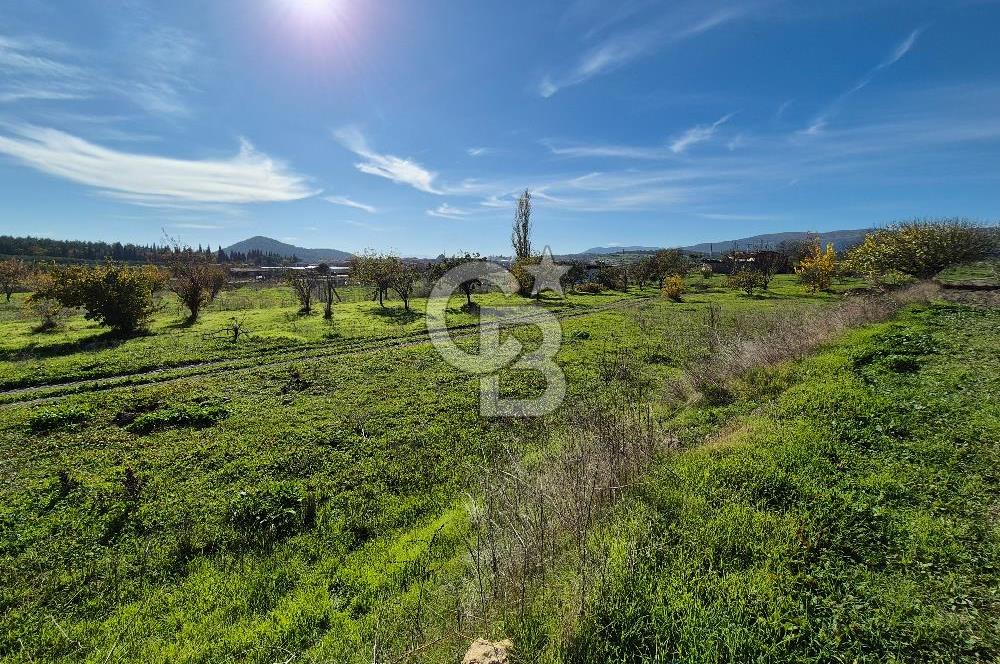 CB OFİS'TEN AKHİSAR'DA SATILIK TARLA