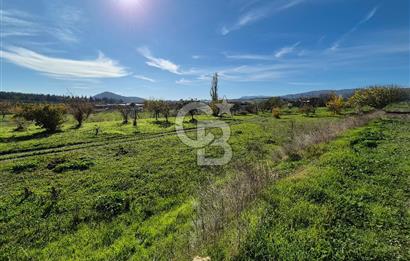 CB OFİS'TEN AKHİSAR'DA SATILIK TARLA