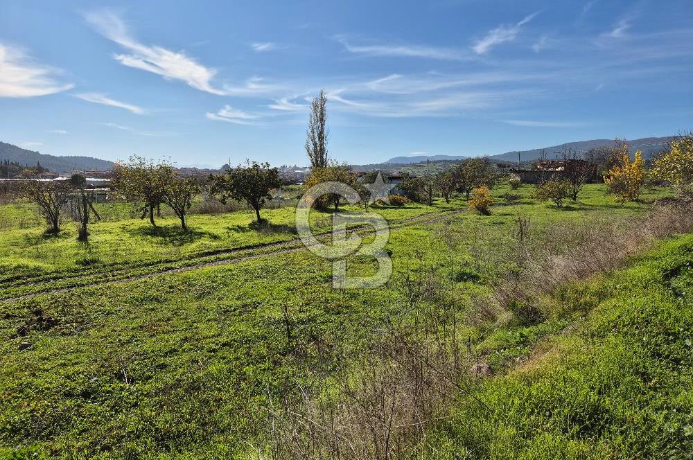 CB OFİS'TEN AKHİSAR'DA SATILIK TARLA