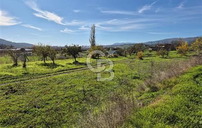 CB OFİS'TEN AKHİSAR'DA SATILIK TARLA