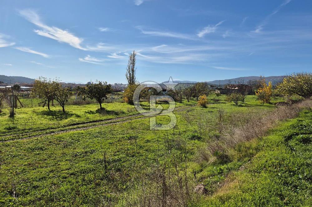 CB OFİS'TEN AKHİSAR'DA SATILIK TARLA