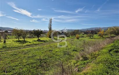 CB OFİS'TEN AKHİSAR'DA SATILIK TARLA