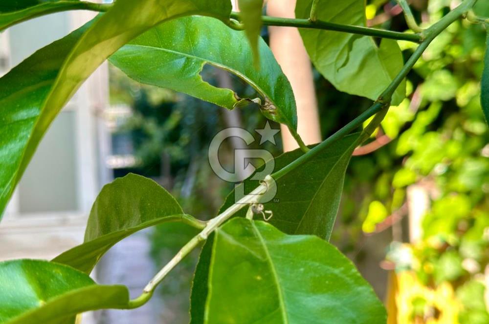 MUSELAND / FORUM BORNOVA VİLLALARI'NDA KİRALIK 5+2 VİLLA!