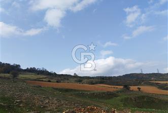 ŞİLE DEĞİRMENÇAYIR'DA 346 M2 SATILIK ARSA - 4 - 321379