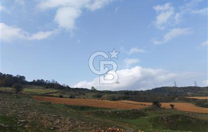 ŞİLE DEĞİRMENÇAYIR'DA 346 M2 SATILIK ARSA