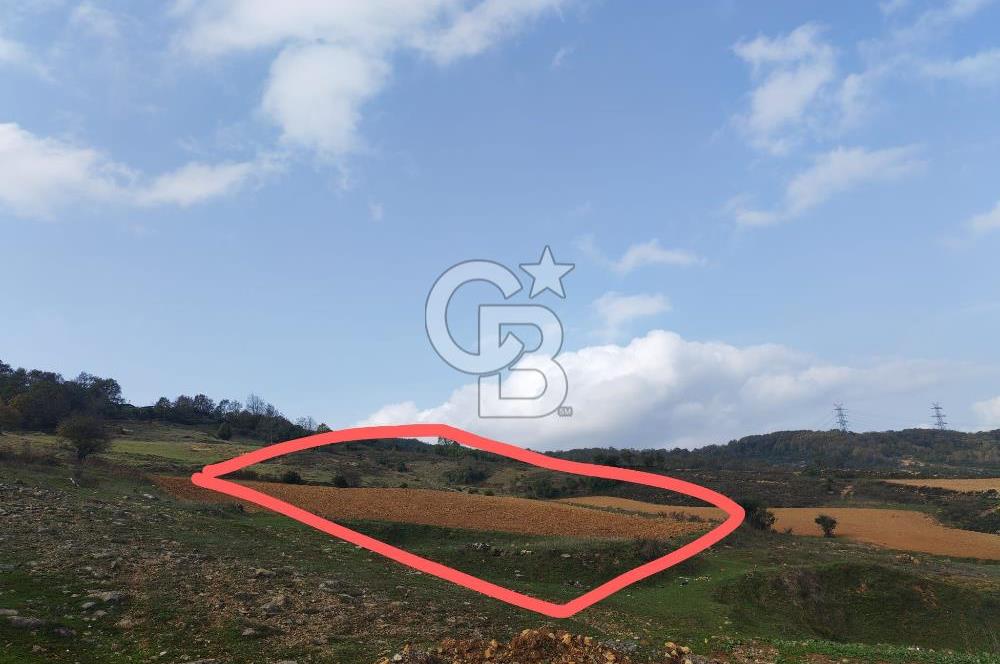 ŞİLE DEĞİRMENÇAYIR'DA 346 M2 SATILIK ARSA