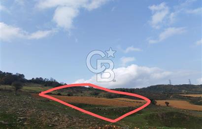 ŞİLE DEĞİRMENÇAYIR'DA 346 M2 SATILIK ARSA