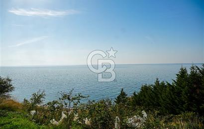 Armutlu Karşıyakada Deniz Manzaralı Eşyalı Satılık Villa ve Arsa