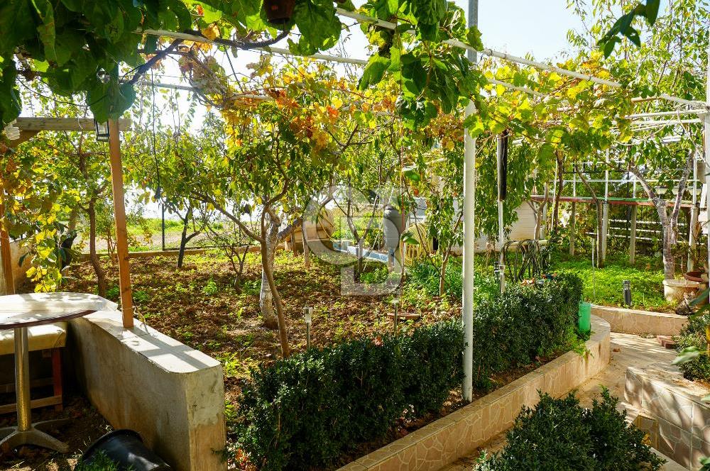 Armutlu Karşıyakada Deniz Manzaralı Eşyalı Satılık Villa ve Arsa