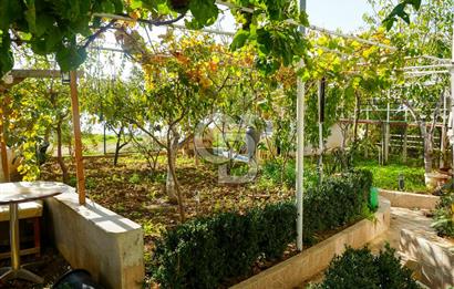 Armutlu Karşıyakada Deniz Manzaralı Eşyalı Satılık Villa ve Arsa