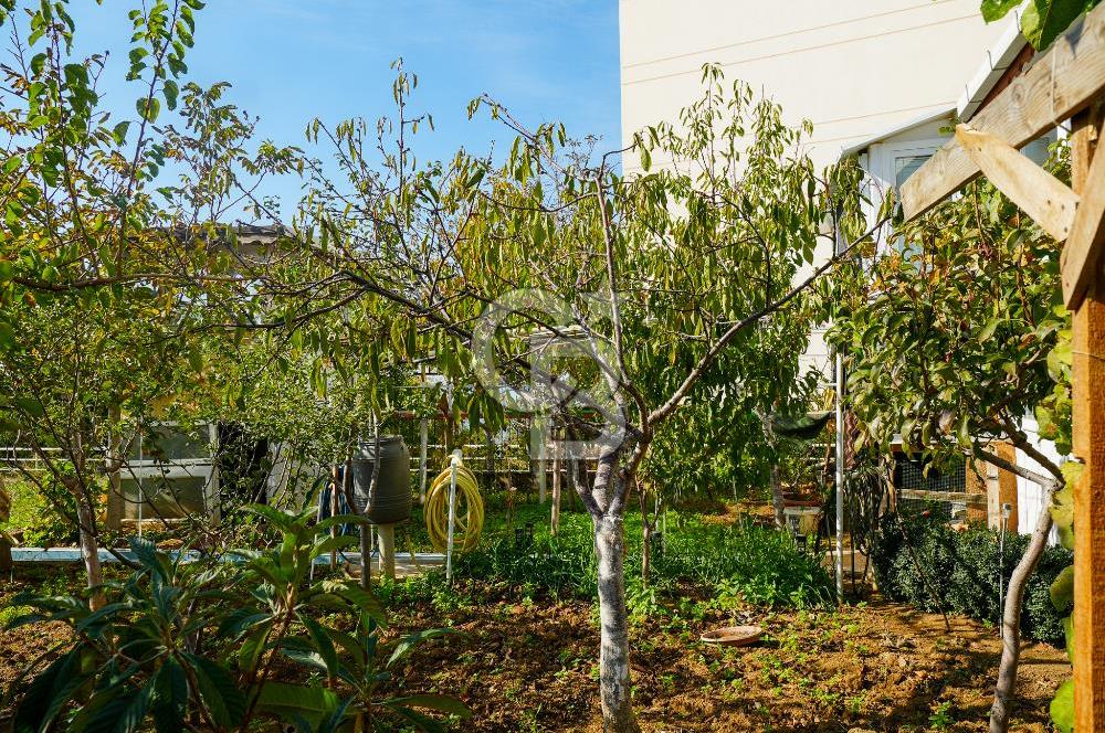 Armutlu Karşıyakada Deniz Manzaralı Eşyalı Satılık Villa ve Arsa