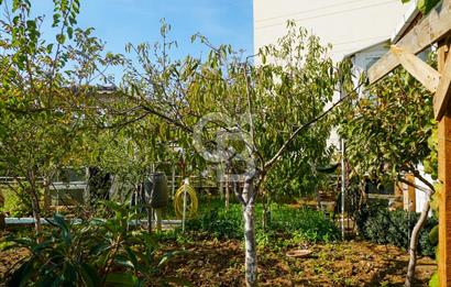 Armutlu Karşıyakada Deniz Manzaralı Eşyalı Satılık Villa ve Arsa