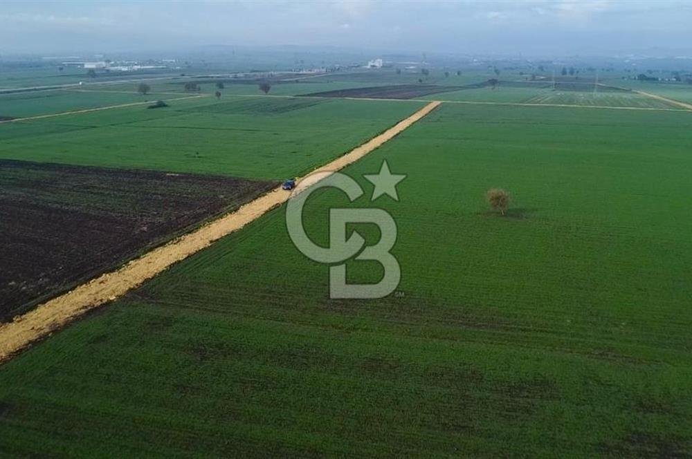 ÇANAKKALE BİGA GÖKTEPE'DE ANA YOLA YAKIN SATILIK TARLA