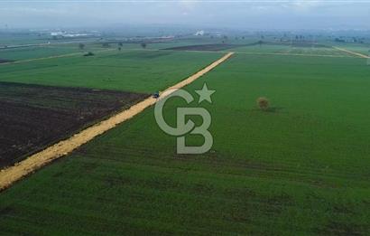 ÇANAKKALE BİGA GÖKTEPE'DE ANA YOLA YAKIN SATILIK TARLA