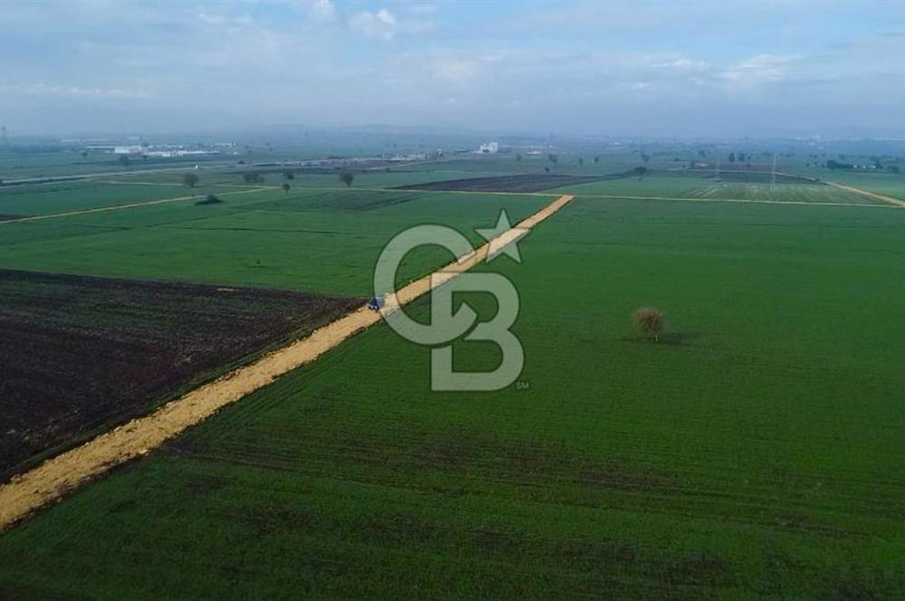 ÇANAKKALE BİGA GÖKTEPE'DE ANA YOLA YAKIN SATILIK TARLA