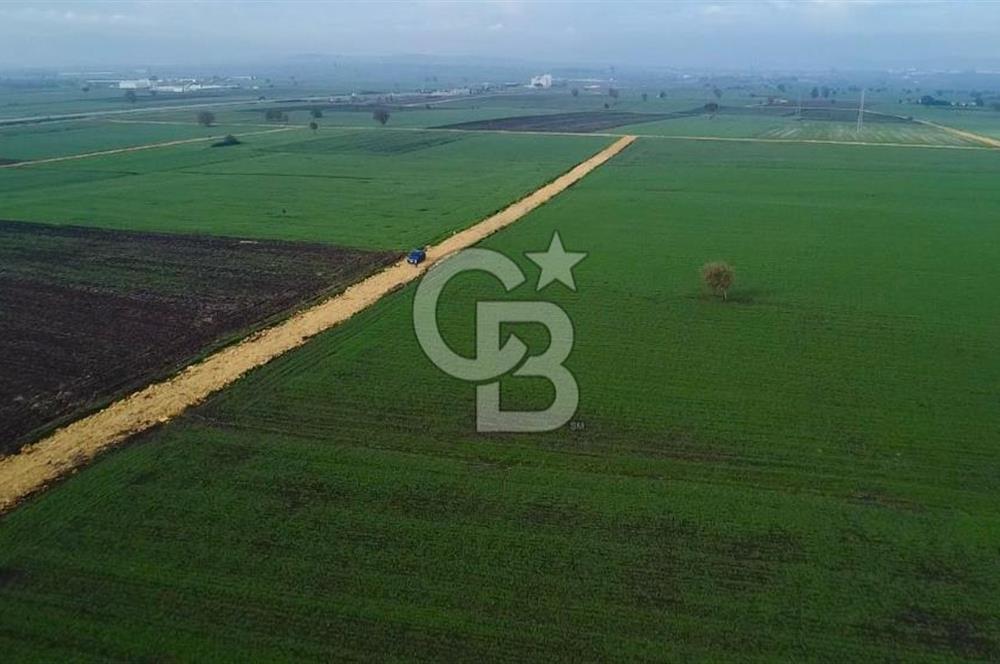 ÇANAKKALE BİGA GÖKTEPE'DE ANA YOLA YAKIN SATILIK TARLA