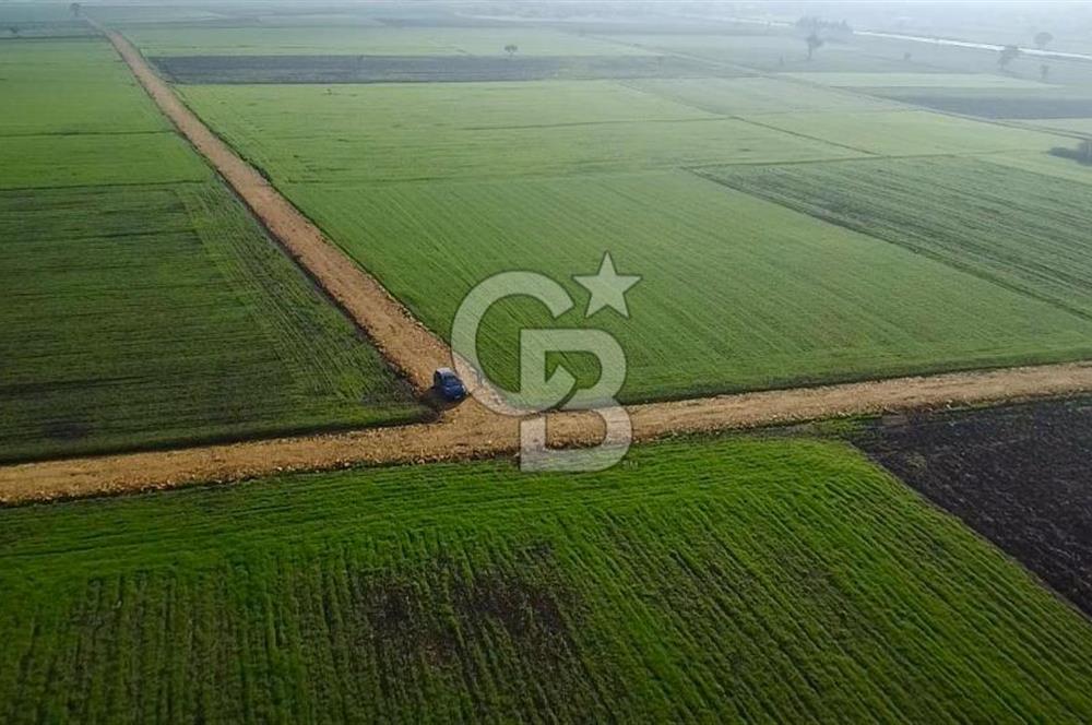 ÇANAKKALE BİGA GÖKTEPE'DE ANA YOLA YAKIN SATILIK TARLA