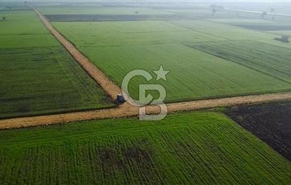 ÇANAKKALE BİGA GÖKTEPE'DE ANA YOLA YAKIN SATILIK TARLA