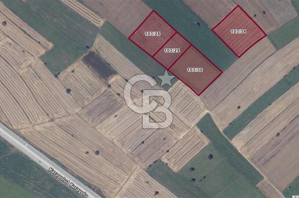 ÇANAKKALE BİGA GÖKTEPE'DE ANA YOLA YAKIN SATILIK TARLA