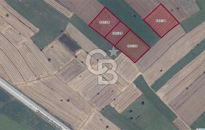 ÇANAKKALE BİGA GÖKTEPE'DE ANA YOLA YAKIN SATILIK TARLA