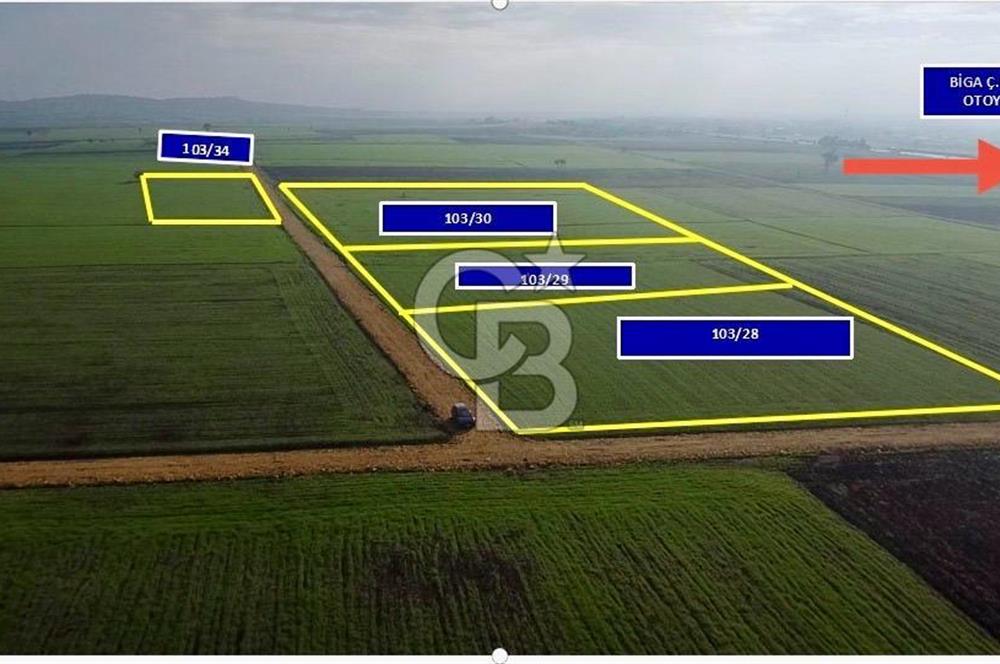 ÇANAKKALE BİGA GÖKTEPE'DE ANA YOLA YAKIN SATILIK TARLA