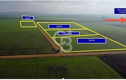 ÇANAKKALE BİGA GÖKTEPE'DE ANA YOLA YAKIN SATILIK TARLA