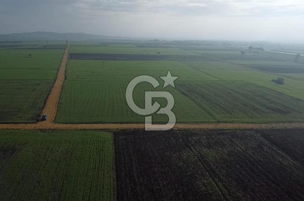 ÇANAKKALE BİGA GÖKTEPE'DE ANA YOLA YAKIN SATILIK TARLA