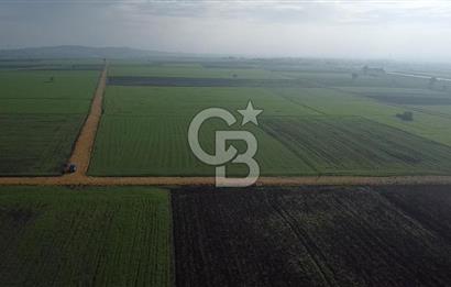 ÇANAKKALE BİGA GÖKTEPE'DE ANA YOLA YAKIN SATILIK TARLA