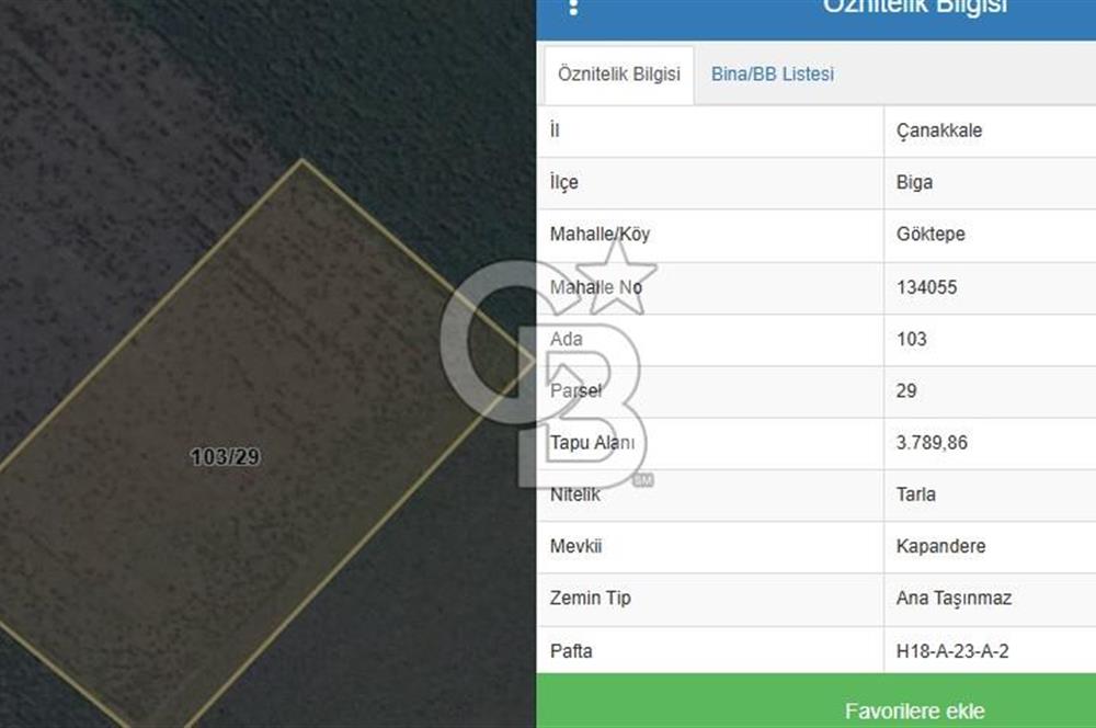 ÇANAKKALE BİGA GÖKTEPE'DE ANA YOLA YAKIN SATILIK TARLA