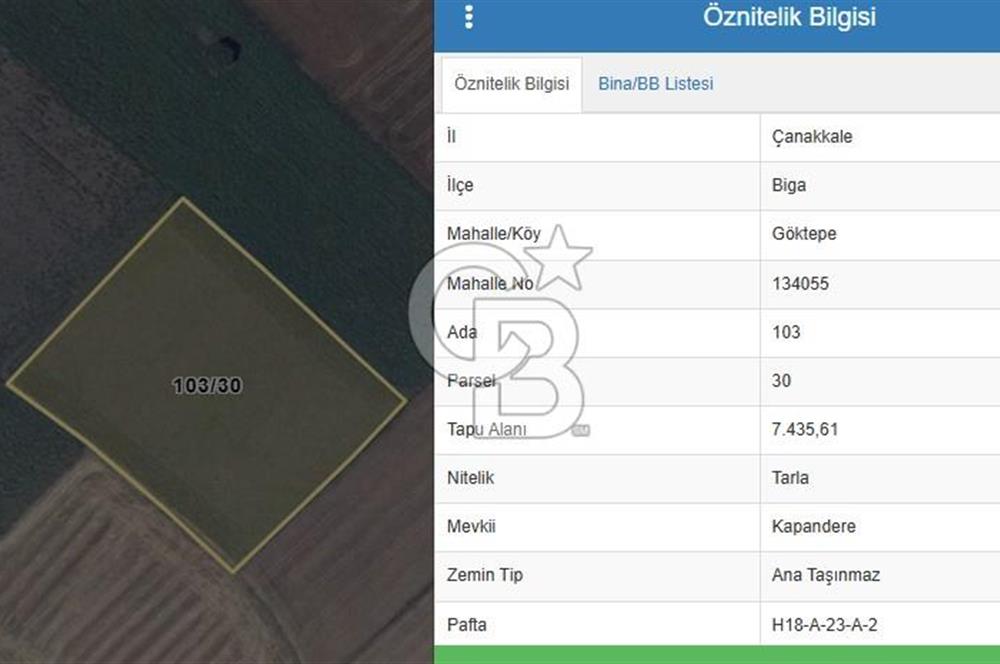ÇANAKKALE BİGA GÖKTEPE'DE ANA YOLA YAKIN SATILIK TARLA