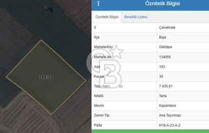 ÇANAKKALE BİGA GÖKTEPE'DE ANA YOLA YAKIN SATILIK TARLA