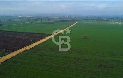 ÇANAKKALE BİGA GÖKTEPE'DE ANA YOLA YAKIN SATILIK TARLA