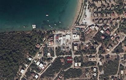 MUĞLA MİLAS KIYIKIŞLACIK'TA DENİZE YÜRÜME MESAFESİNDE EŞSİZ ARSA