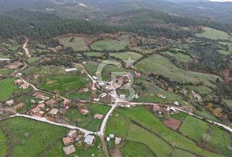 Hacıgelen Bağlı koru Köyü, Lapseki / Çanakkale - 6 - 321402