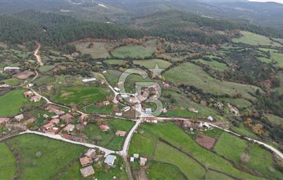 Hacıgelen Bağlı koru Köyü, Lapseki / Çanakkale