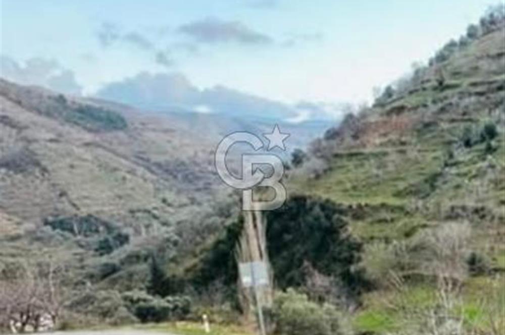 İZMİR TİRE'DE 1810 M2 MÜSTAKİL TAPULU SATILIK ARSA