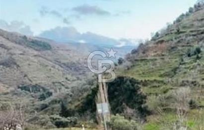 İZMİR TİRE'DE 1810 M2 MÜSTAKİL TAPULU SATILIK ARSA