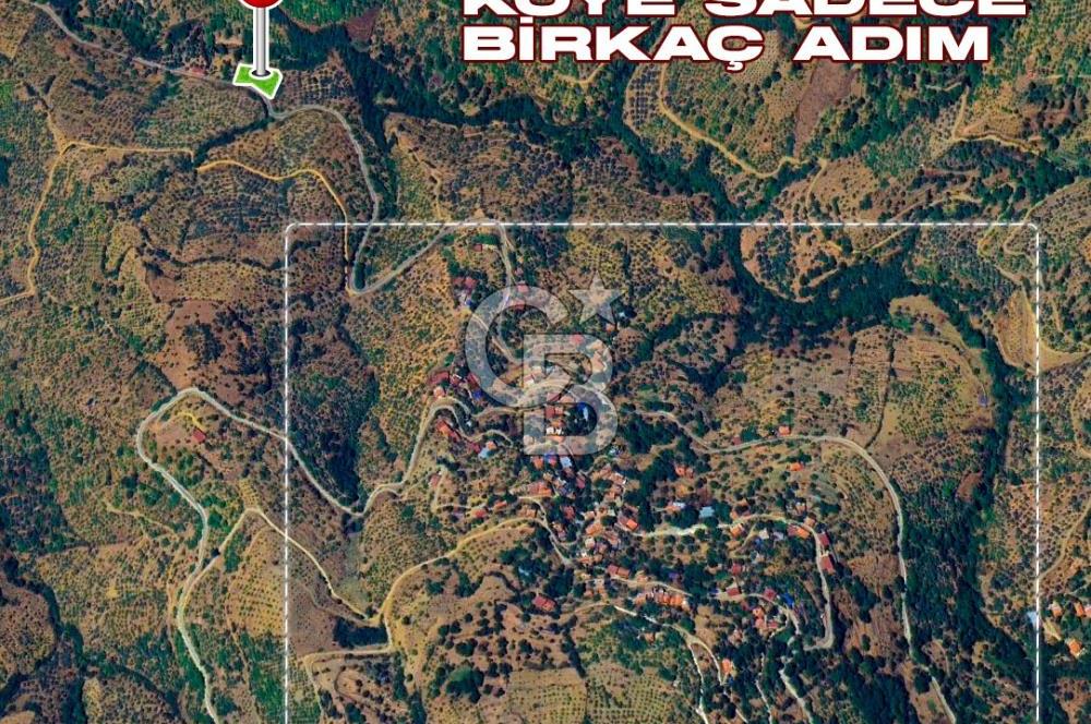 İZMİR TİRE'DE 1810 M2 MÜSTAKİL TAPULU SATILIK ARSA