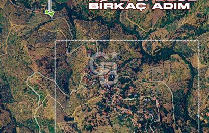 İZMİR TİRE'DE 1810 M2 MÜSTAKİL TAPULU SATILIK ARSA