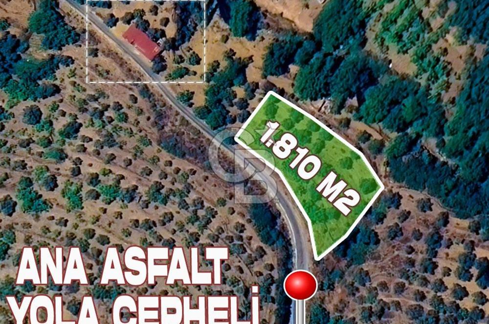 İZMİR TİRE'DE 1810 M2 MÜSTAKİL TAPULU SATILIK ARSA