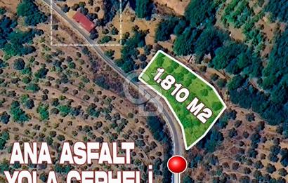 İZMİR TİRE'DE 1810 M2 MÜSTAKİL TAPULU SATILIK ARSA