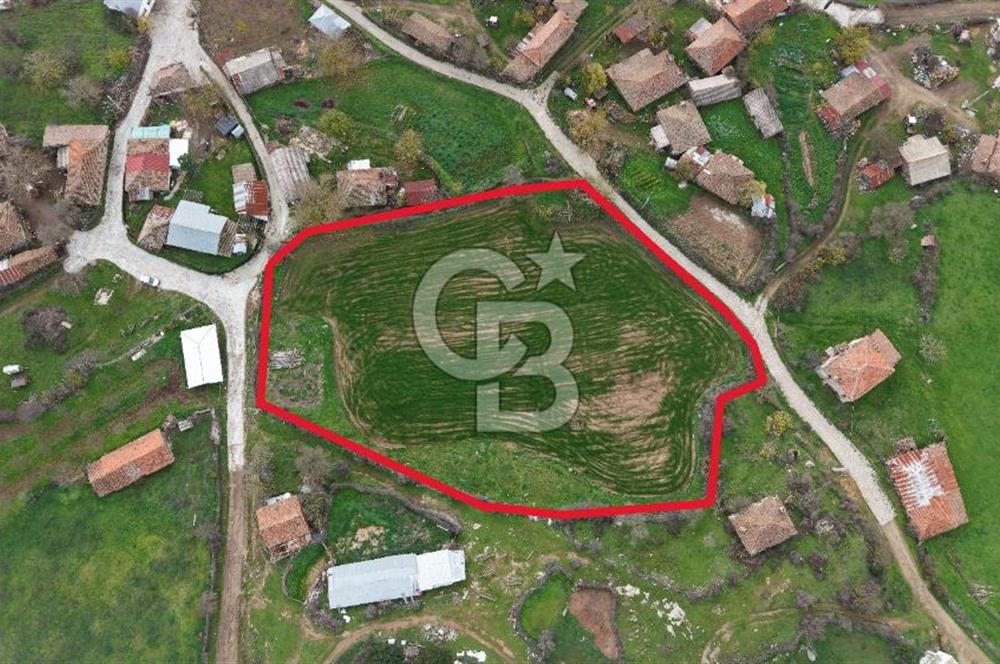 Hacıgelen Bağlı koru Köyü, Lapseki / Çanakkale