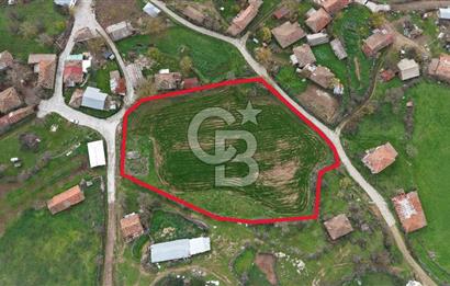 Hacıgelen Bağlı koru Köyü, Lapseki / Çanakkale