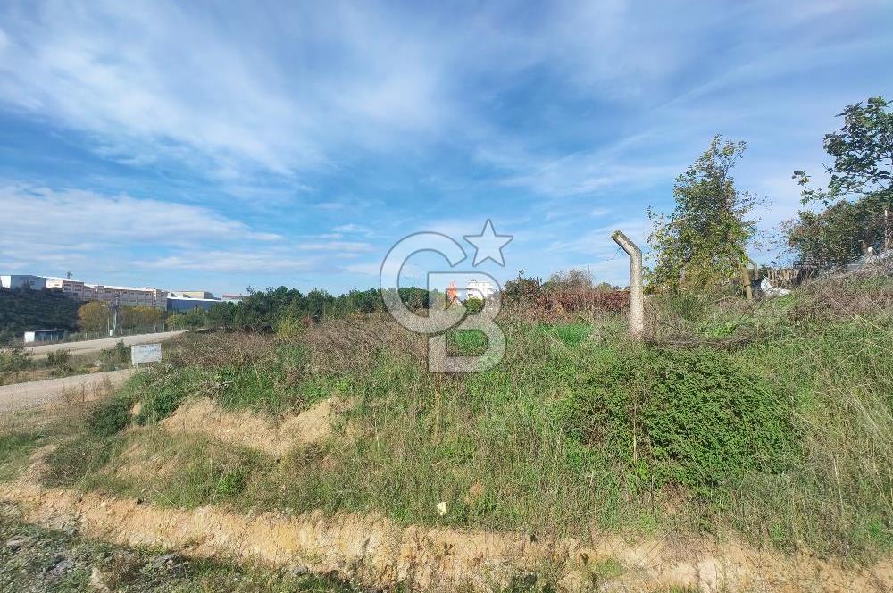 ÇAYIROVA ŞEKERPINAR 'DA SATILIK TİCARİ ARSA