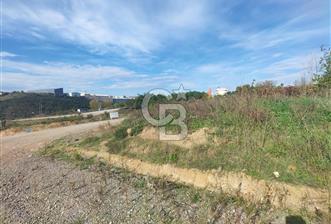 ÇAYIROVA ŞEKERPINAR 'DA SATILIK TİCARİ ARSA - 10 - 321422