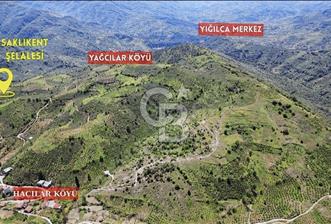 DÜZCE YIĞILCA'DA YOLA BİR PARSEL SATILIK 4.957 M2 FINDIK BAHÇESİ - 9 - 321428