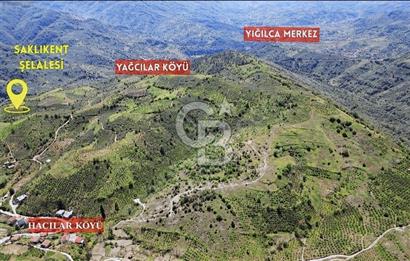 DÜZCE YIĞILCA'DA YOLA BİR PARSEL SATILIK 4.957 M2 FINDIK BAHÇESİ