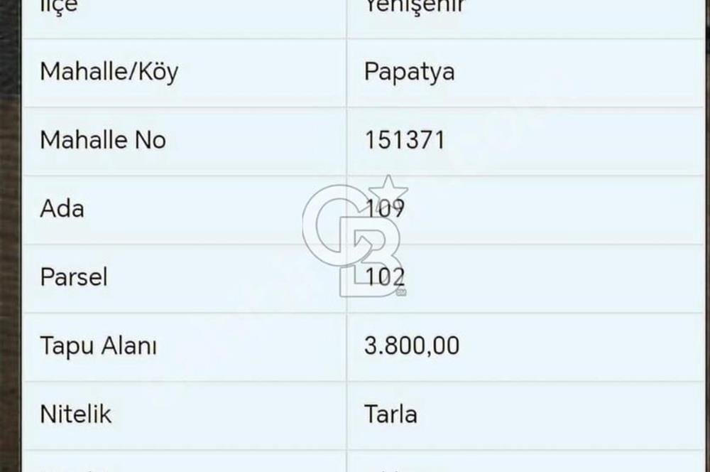 BURSA YENİŞEHİR 'DE 3800 M2 MÜSTAKİL TAPULU SATILIK ARSA