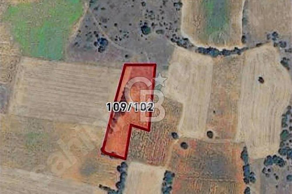 BURSA YENİŞEHİR 'DE 3800 M2 MÜSTAKİL TAPULU SATILIK ARSA