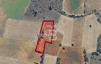 BURSA YENİŞEHİR 'DE 3800 M2 MÜSTAKİL TAPULU SATILIK ARSA